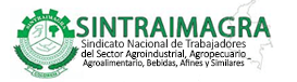 Sintraimagra